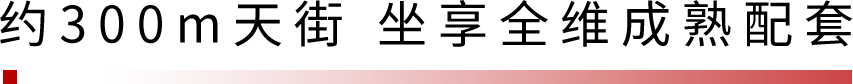 06.png