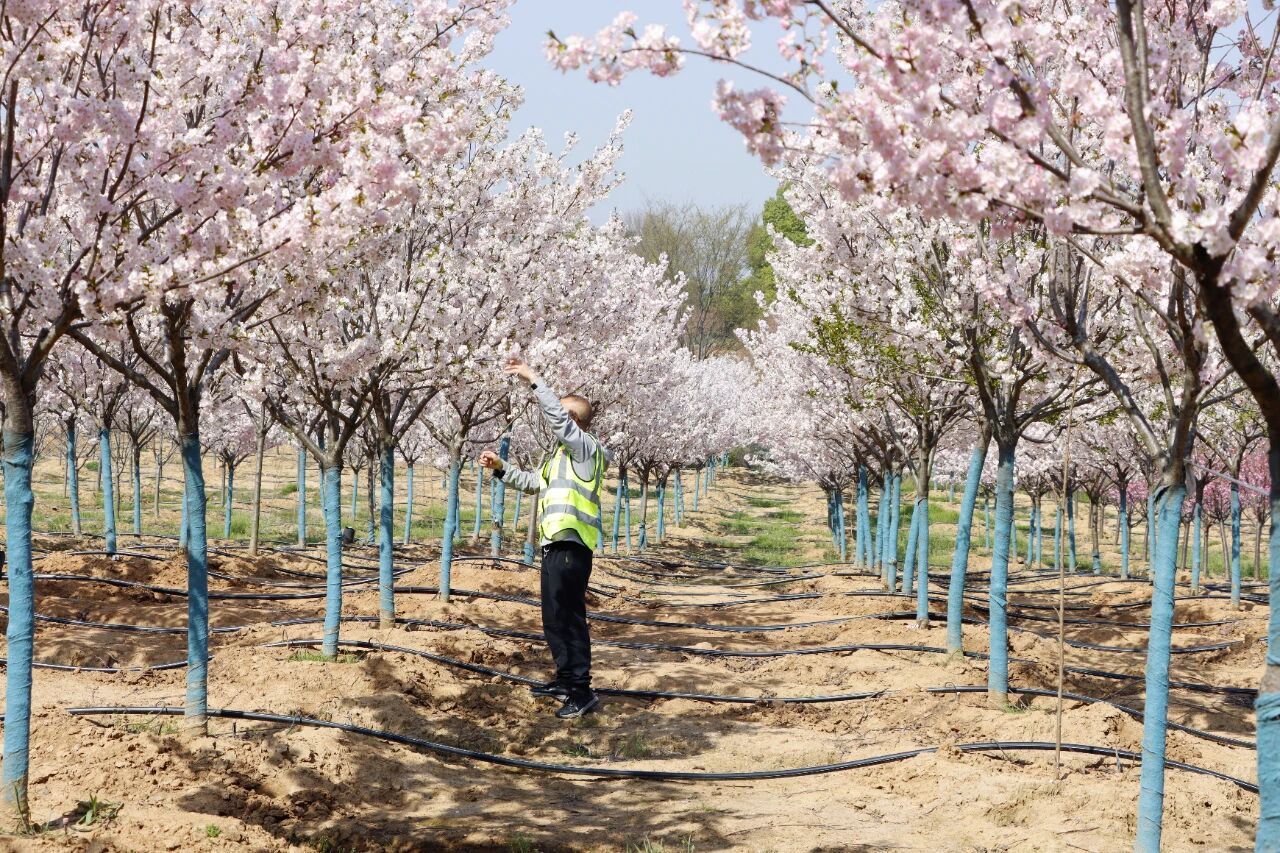 首页|3044am永利集团有限公司官方网站